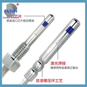 RTD PT100 Temperature sensor with 1-2 NPT external threaded connection