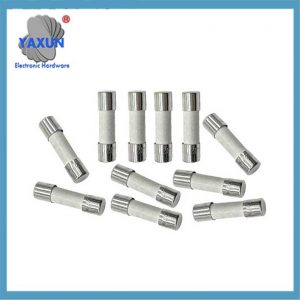 20A Ceramic Fast Acting Fuse 5mm x 20mm
