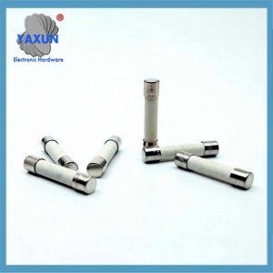 Littelfuse Fuse 0314.250 5x20MM Common Model Fast-Acting Ceramic Fuse Tube