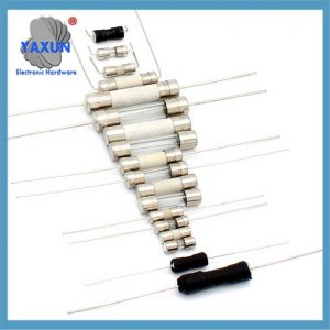 6* 30mm ceramic tube fuses fast, and slow fuses